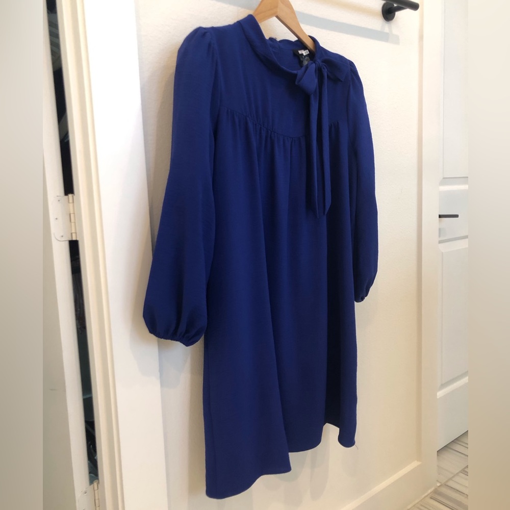 DKNY Balloon Sleeve Berry Blue Dress Size 14